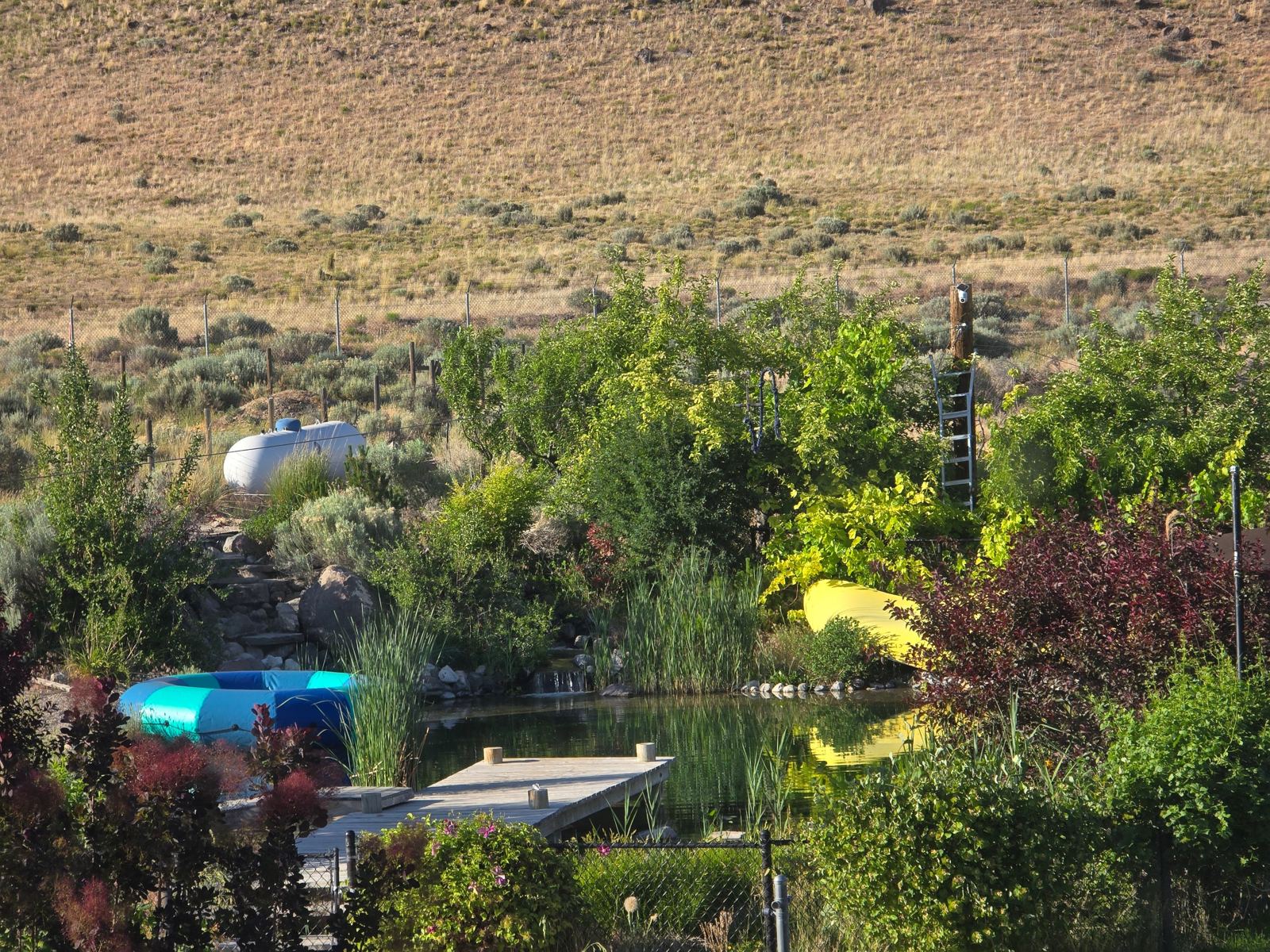 Waterfall and planted edges with sagebrush hills behind